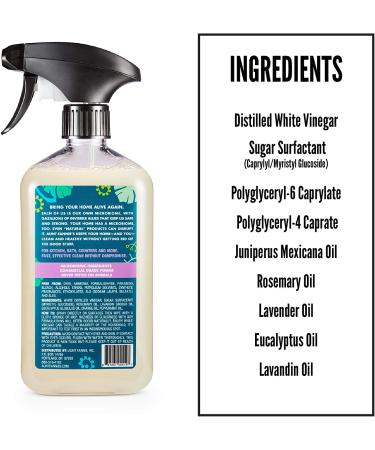 Aunt Fannie's Lavender All-Purpose Cleaning Vinegar - 16.9 fl oz (500 ml) | Natural, Effective, Eco-Friendly Cleaner - Buy Online on GoSupps.com