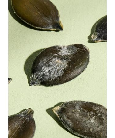 Koro Pumpkin Seeds from Styria - Roasted & Salted 1kg | Perfect Snack & Salad Topping - Buy Online on GoSupps.com