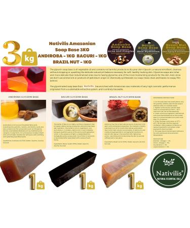 Nativilis Amazonian Soap Base 3KG - ANDIROBA 1KG - BACURI 1KG - BRAZIL NUT 1KG - Natural Vegan Face Skin Body Moisturises No Chemicals Additives Colours or Lauryl - Melt and Pour Copaiba Benefits - Buy Online on GoSupps.com