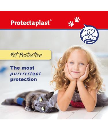 Protectaplast Self-Adhesive Blue Bandage for Pets | Latex-Free & Glue-Free 6cm x 2m | Ideal for Dogs Cats & Horses - Wound & Joint Dressing - Buy Online on GoSupps.com