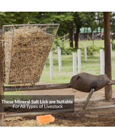 Himalayan Nature Licking Salt for Horses - 2 Pack Pink | Natural Mineral Supplement - Buy Online on GoSupps.com