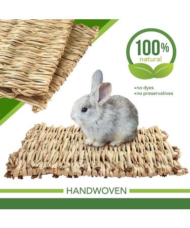 3 Pack Natural Straw Grass Mat for Rabbits and Small Animals - Ideal Resting Bedding for Guinea Pig, Parrot, Chinchilla, Hamster, Rat - Woven Hay Mat for Cage - Buy Online on GoSupps.com
