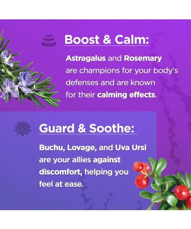 AMVILAB URO Urinary Tract Health Support | 60 Capsules | 2 Month Supply - Buy Online on GoSupps.com