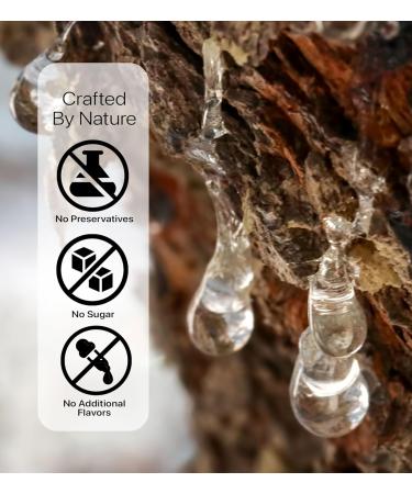 Cerez Pazari Natural Mastic Gum 0.88oz - 100% Real Chios Mastiha Resin | Medium Tears, Gluten Free, Non-GMO, Vegan - Resealable Bag 25g - Buy Online on GoSupps.com