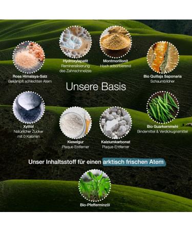 Fluoride-Free Tooth Cleaning Tablets - 85 Vegan Arctic Breath Tablets with Organic peppermint | Natural Plastic-Free Foaming Toothpaste - Buy Online on GoSupps.com