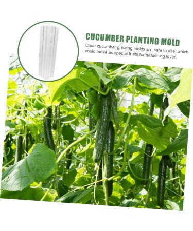 Yardwe 8 Pcs Vegetable Shaping Mold Fruit Vegetable Shaper Mold Garden Cucumber Mold Watermelon Suite - Buy Online on GoSupps.com