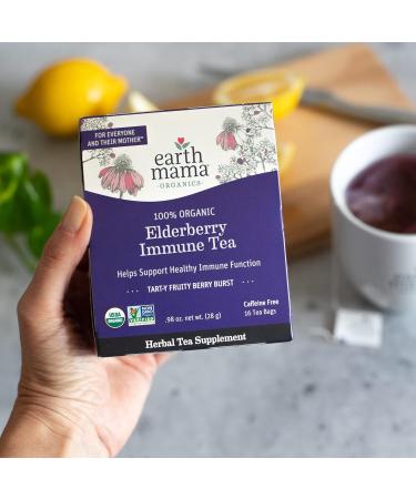 Earth Mama Organic Elderberry Immune Tea with Echinacea - Pregnancy & Family Safe | Decaf Tea with Ginger & Rooibos - 16-Count - Buy Online on GoSupps.com