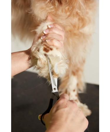 Shop Andis Premium Pet Grooming 7 Straight Scissors - Top Quality for Perfect Pet Trim | International Shipping Available - Buy Online on GoSupps.com