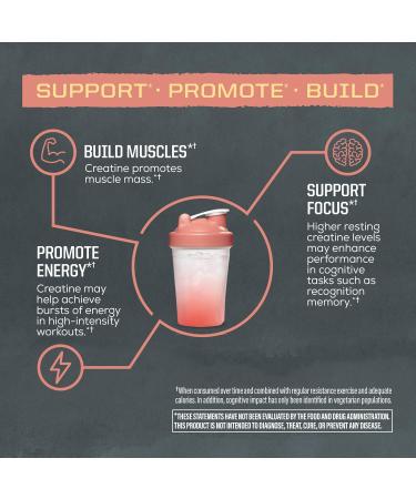 Creatine Monohydrate Powder Micronized PreWorkout Recovery Supplement | Support Muscle Building Strength Training Cognition | Vegan & Keto Friendly Easily Mixes Rainbow Sherbert Flavored Creatine - Buy Online on GoSupps.com