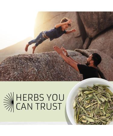 Evergreen Herbs Olive Leaves, Hoja De Olivo, Wildcrafted 4 oz. (113 Grams) Resealable Pouch to Ensure Freshness! - Buy Online on GoSupps.com