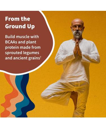 Organic Vegan Vanilla Chai Protein Powder - Garden of Life 22g Plant Based Raw Protein & BCAAs with Probiotics, Digestive Enzymes - Non-GMO, Gluten-Free, Lactose Free - 1.5 LB Vanilla Chai - Buy Online on GoSupps.com