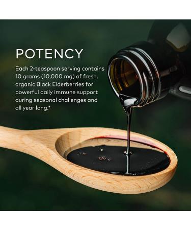 Gaia Herbs Black Elderberry Syrup 3 fl oz - Immune Support & Antioxidant Boost - Buy Online on GoSupps.com