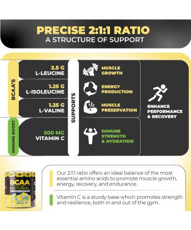Nutrology BCAA Natural - Plant Based BCAA Powder Lemonade Flavor Optimized 2:1:1 Ratio Amino Acids Powder for Pre Workout & Post Workout Recovery Vegan Gluten-Free Non-GMO 30 Servings - Buy Online on GoSupps.com