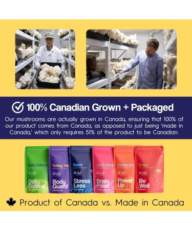 Stay Wyld Organics - Reishi Mushroom Supplement Capsules - 100% Canadian Grown Mushrooms Organic Reishi Mushroom Supplements For Mental Wellness and Calm - 90 Capsules - Buy Online on GoSupps.com
