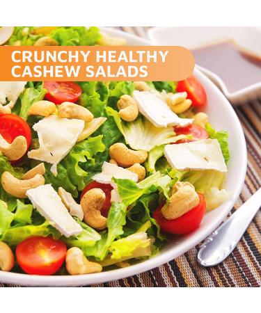 Oh! Nuts Dry Roasted Salted Cashews - Fresh, Healthy Protein Snacks | 3-Lb. Resealable Bulk Bag | Vegan, Gluten-Free, Paleo & Keto Friendly | Snack Food for Nut Lovers - Buy Online on GoSupps.com