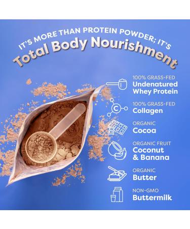 FlavCity All-In-One Protein Smoothie for Kids - Galactic Brownie | Grass-Fed Whey Protein 15g Protein & 5g Collagen Gluten-Free Non-GMO - 15 Servings - Buy Online on GoSupps.com