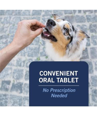 PetArmor Capaction Oral Flea Treatment for Dogs | Fast-Acting 6 Tablets for Dogs Over 25 lbs - Buy Online on GoSupps.com