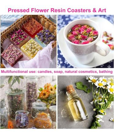 SERAOKICKY Nature Rose Tea Natural dried rose buds dried flowers rose buds 120 g rose tea 100 organic and natural red rose buds ideal for DIY tea drinks pastries - Buy Online on GoSupps.com