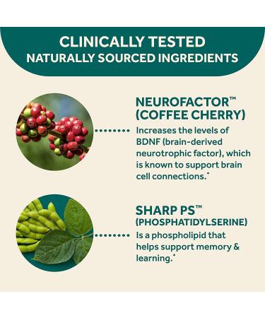 Schiff Neuriva Brain Performance 30 Capsules | Enhance Focus & Clarity - Buy Online on GoSupps.com