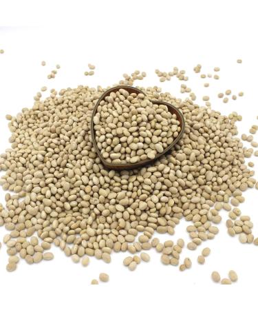 Organic Haricot Beans 1kg - High Fibre, High Protein, GMO-Free - Nutritious and Flavorful - Thames Organic - Buy Online on GoSupps.com