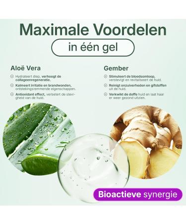 Made in France Aloe Vera & Ginger Gel Moisturizing Refreshing and Firming With Fresh Organic Aloe Leaves Spain For Face Body & Hair After Sun Shaving Tired Legs 500 ml - Buy Online on GoSupps.com