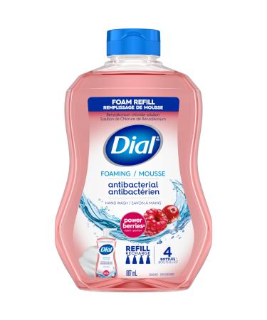 Dial Antibacterial Foaming Hand Wash Refill Power Berries 887ml Berries 887 ml (Pack of 1)