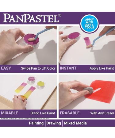 PanPastel 29555 Ultra Soft Artist Pastel Pearlescent Blue 955.5 - 1 Count - Buy Online on GoSupps.com