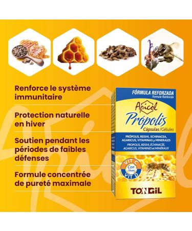 Propolis Capsules 12% Flavonoids | Reinforced Formula With Reishi Echinacea Agaricus | Enriched with Copper Iron Vitamin C and D | 40 Api-Nature Capsules - Buy Online on GoSupps.com
