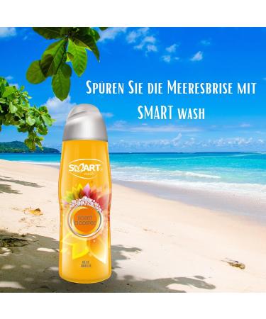 Smart Wash Washing Perfume - Blue Breeze 500g | Long-Lasting Fragrance Beads for Textiles & Sports Clothing | Premium Laundry Care - Buy Online on GoSupps.com