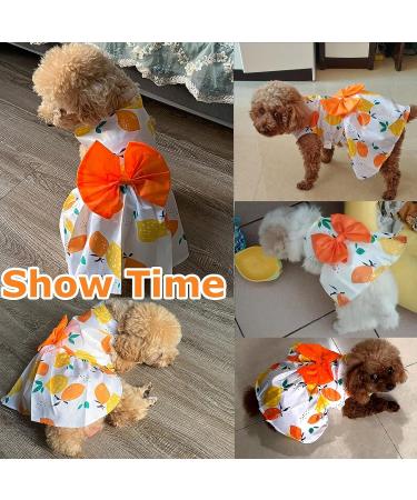 Summer Dog Dress for Small Dogs - Medium Orange Pet Clothing - Buy Online on GoSupps.com