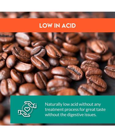 Clean Coffee Co. Low Acid Whole Bean Coffee | Papua New Guinea Medium Roast | Antioxidant Rich, Smooth Taste | 12oz Bag - Buy Online on GoSupps.com