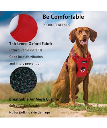 Buy Funfox No Pull Dog Harness for Small Dogs - Adjustable & Breathable Red Puppy Harness | Anti-Zug Safety for Small & Medium Dogs - Buy Online on GoSupps.com
