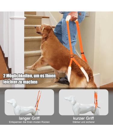 Shop Lollanda Walking Aid for Dogs - Support Mobility for Sick & Older Dogs | Orange Wearable Aid & Dog Dishes - Buy Online on GoSupps.com