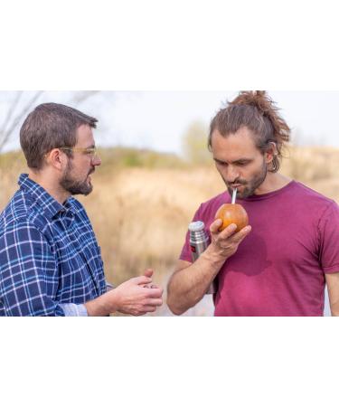 Organic Sugar-Free Mate Tea - 24x200ml | Ready-to-Drink Zero Calories 100% Pure Fair Trade - Flowery Taste of ERVA Mate - Buy Online on GoSupps.com