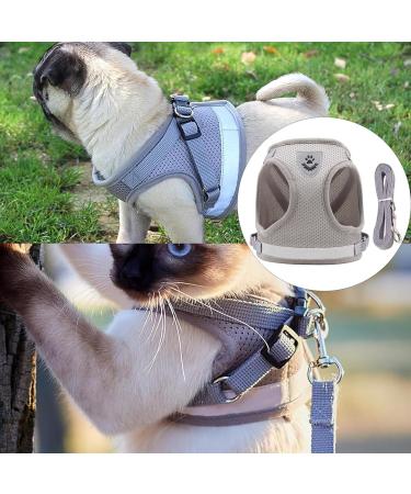 Kitten Harness and Lead Set Kitten Harness Cat Harness Cat Leash for Walking Escape Proof Puppy Kitten Vest Harnesses for Small Dogs Animals Rabbit/Mouse/Cats Cat Collar XS Grey - Buy Online on GoSupps.com