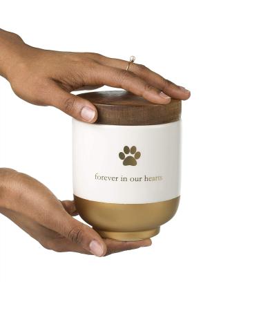 Pearhead Pet Ceramic Forever in Our Hearts Urn Gold - Memorial Pet Urn - Buy Online on GoSupps.com