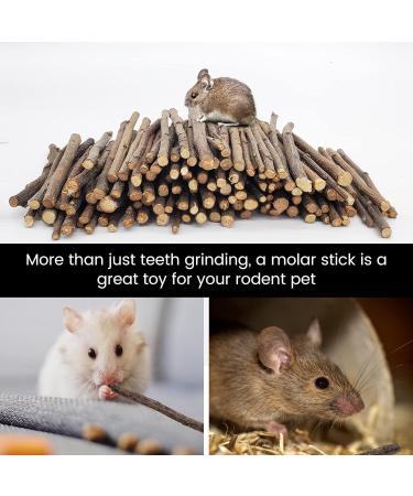 500g Apple Sticks Pet Chew Toys for Chinchilla Guinea Pigs Rabbits Animals Molar Wood Treats Toys - Buy Online on GoSupps.com