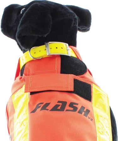 Canihunt Vest Flash V2 (XL) - Premium Dog Training & Hunting Gear | International Shipping Available - Buy Online on GoSupps.com