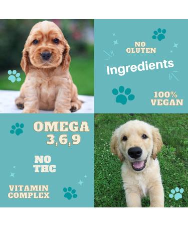 Kamrose Hemp Oil for Dogs And Cats | Dog Calming Organic Hemp Oil | Omega 3 6 9 | Certified High Strength 5000mg Naturally Supports Calming and Mobility - Buy Online on GoSupps.com