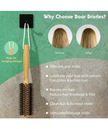 Round Bamboo Boar Bristle Hair Brush with Pin Tail Comb - for Women, Wet or Dry Hair, Detangling and Smoothing - Buy Online on GoSupps.com