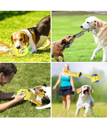 SQinor Plush Dog Toys - Interactive Pineapple Toy Set for Large & Small Dogs | Cuddly Puppy Plaything - Buy Online on GoSupps.com