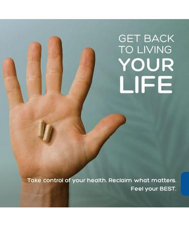 Palmara Health Premium Immune Support, 60 Capsules 1 - Buy Online on GoSupps.com