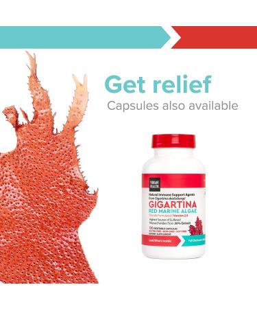 Vibrant Health Gigartina Red Marine Algae Ointment - 14 oz | Natural Skin Relief - Buy Online on GoSupps.com
