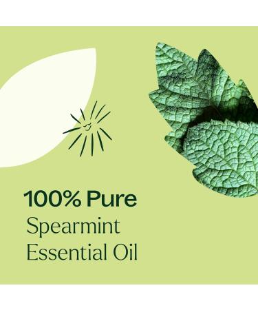 Plant Therapy Spearmint Essential Oil 100 mL (3.3 oz) 100% Pure Undiluted Digestive Health Fresh Scent Tension Relief - Buy Online on GoSupps.com