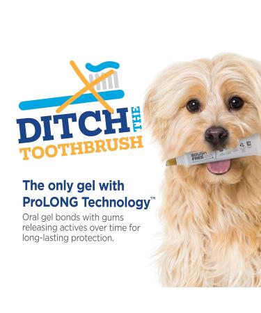 Vetality Brush-Free Oral Gel for Dogs | Proven Dental Care with ProLong Technology - Buy Online on GoSupps.com
