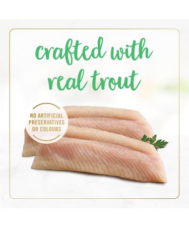 Fancy Feast Flaked Wet Cat Food Trout Feast - 85 g Can (24 Pack) - Buy Online on GoSupps.com