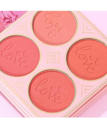 Palette de maquillage - Rouge l vres fondu - Palette de fards paupi res comme livre de maquillage - Pour filles d butantes anniversaire Saint-Valentin mariage rendez-vous f te de vacances - Buy Online on GoSupps.com