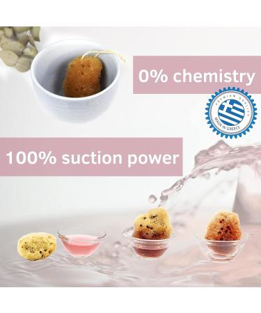tom&pat Menstrual Sponge with String Alternative to Soft Tampon and Menstrual disc - DERMATEST: Very Good with Travel Change case Natural Sponge Washable & Reusable (Size S / 5 x 3-5 cm) - Buy Online on GoSupps.com