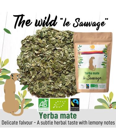 ORIGEENS Organic Fairtrade Yerba Mate 200g - The Wild | Energy & Detox Drink - Buy Online on GoSupps.com