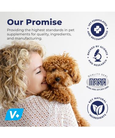 Glandex Dog & Cat Anal Gland Fiber Supplement Powder with Pumpkin & Digestive Enzymes Vet Recommended Healthy Bowels & Digestion - Boot The Scoot (Vegan Salmon 70g) Vegan Salmon 70g - Buy Online on GoSupps.com